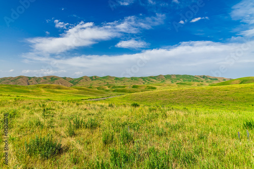 Bright summer hilly green meadows and blue sky with clouds.