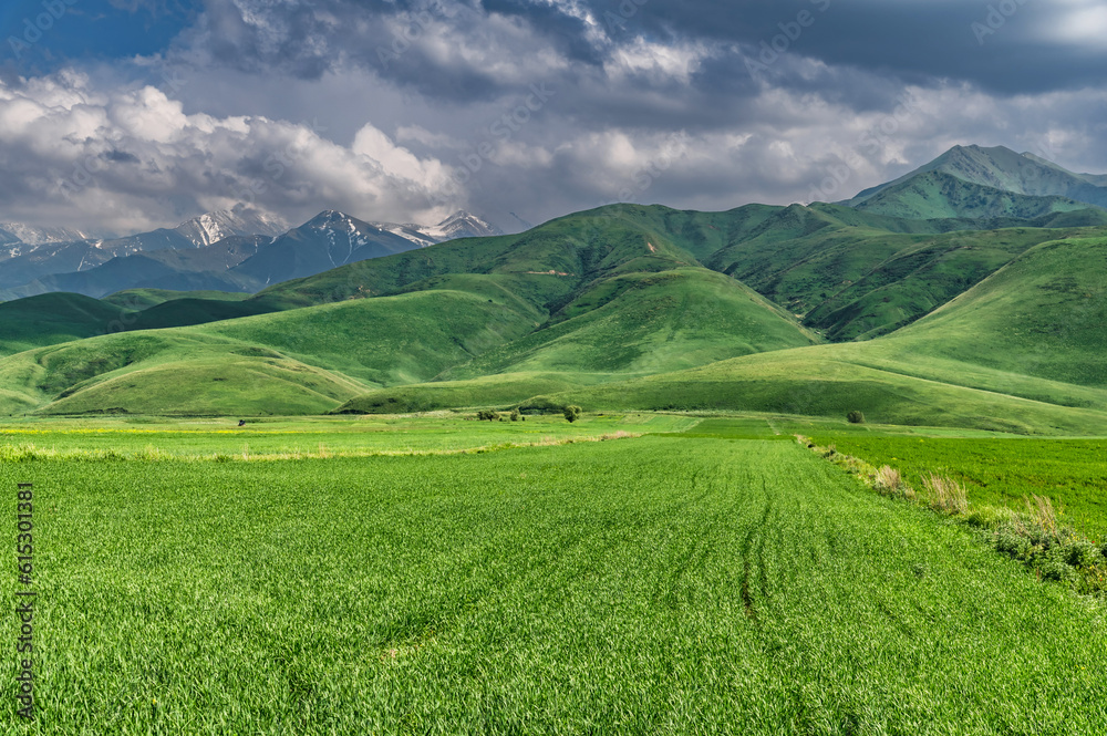 Green fields in the mountains and cloudy sky. Spring green grass. Summer travel.Natural summer green background. Green fields in the mountains and cloudy sky. Spring green grass. Summer travel.Natural summer green background.
