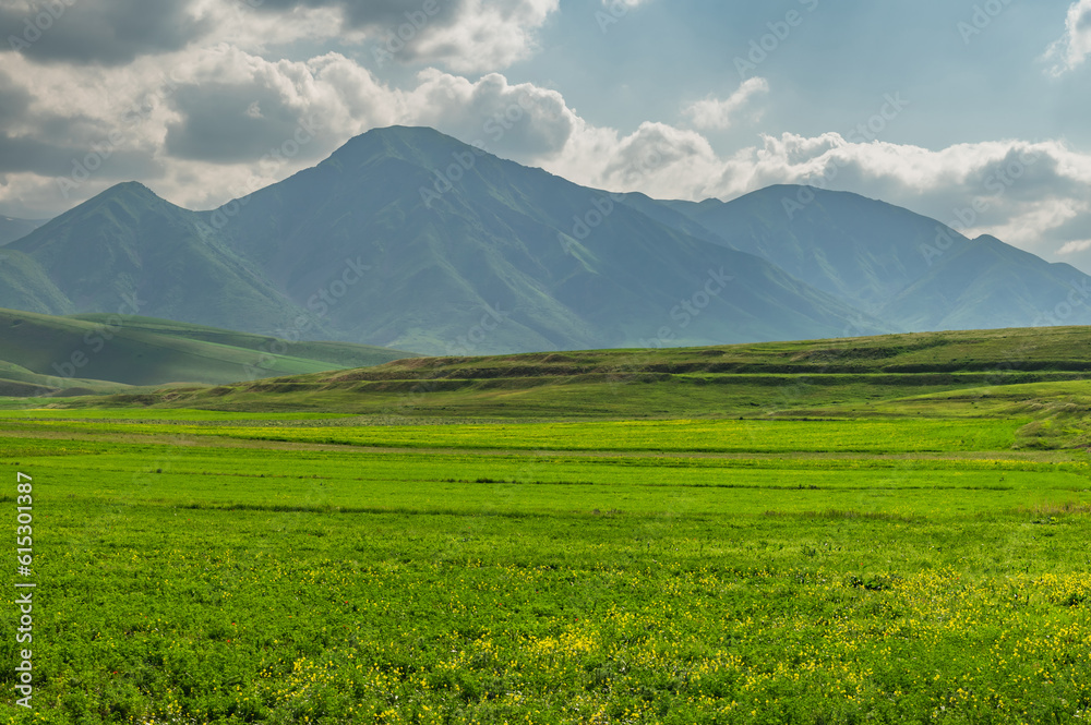Green valley in the mountains and cloudy sky. Spring green grass. Summer travel.Natural summer green background. Green valley in the mountains and cloudy sky. Spring green grass. Summer travel.Natural summer green background.