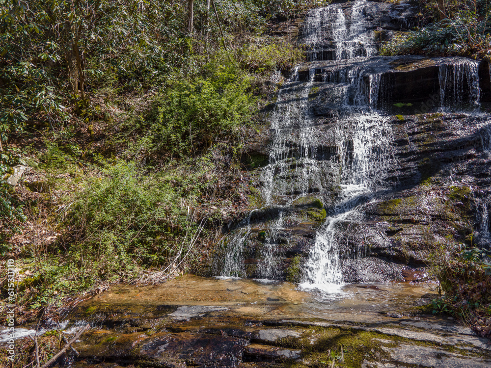 Obraz premium waterfall in the forest