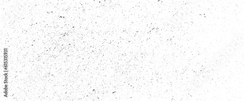 Vector splatter grunge black and white background illustration. Vector grunge texture. Black and white abstract background.