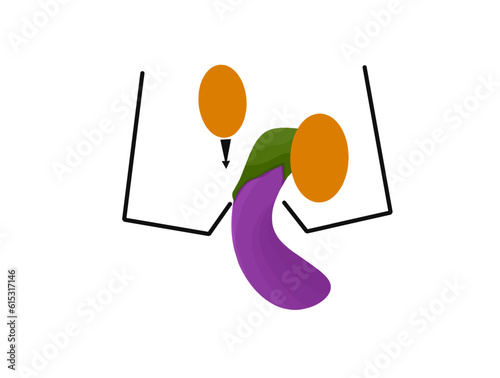 vector illustration of eggs and eggplant fruit as cryptorchidism concept photo
