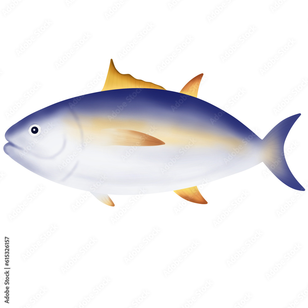 fish fish