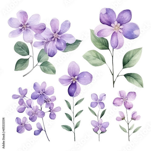 set of purple lilac flower Watercolor isolated illustration transparent background, PNG.