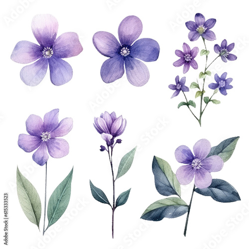 set of purple lilac flower Watercolor isolated illustration transparent background, PNG.