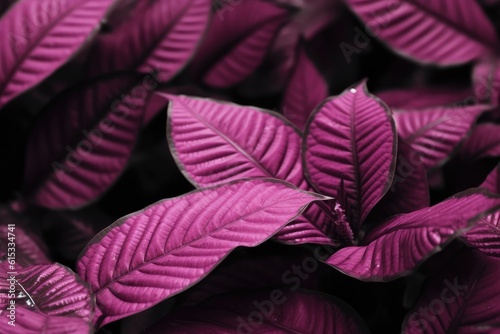 Viva Magenta beautiful view of big leaves. Generative AI