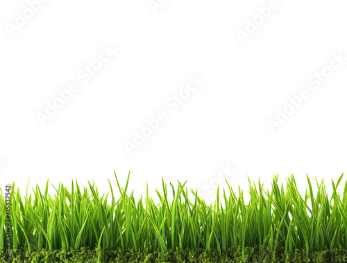Horizontal green grass background