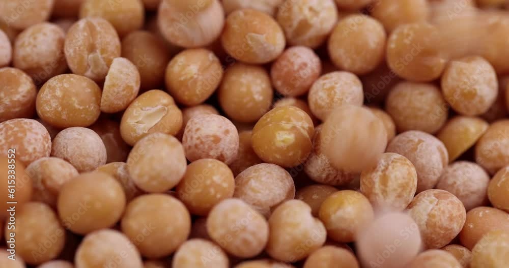 pour dry yellow peas scattered before cooking, Dry hard yellow peas for cooking porridge pour dry yellow peas scattered before cooking, Dry hard yellow peas for cooking porridge