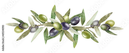 Olive branches, leaves and fruits. Garland of branches olive tree. Watercolor hand drawn illustration. For menu, packaging design, wedding invitation, save the date or greeting card.