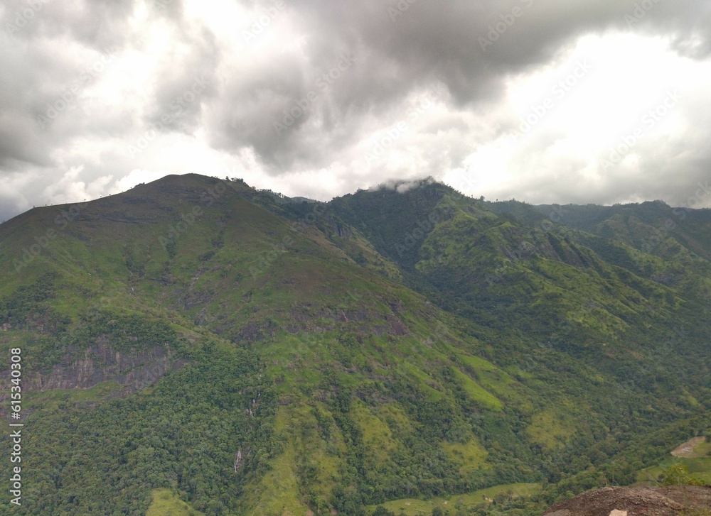 Fototapeta premium The beauty of nature in Sri Lanka