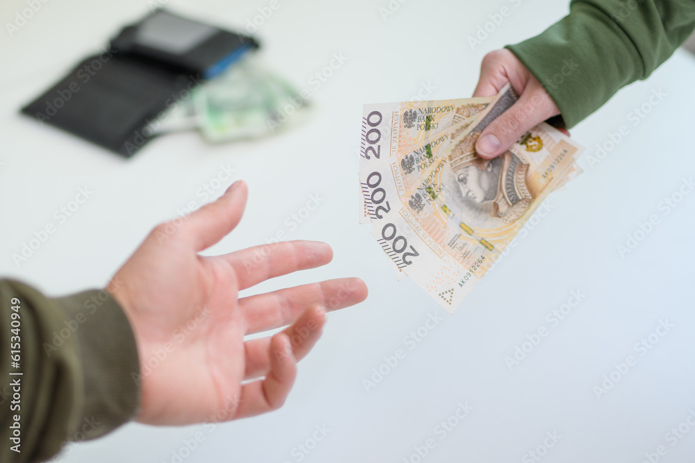 Płacić za zakupy polską gotówką banknotami pln - obrazy, fototapety, plakaty 