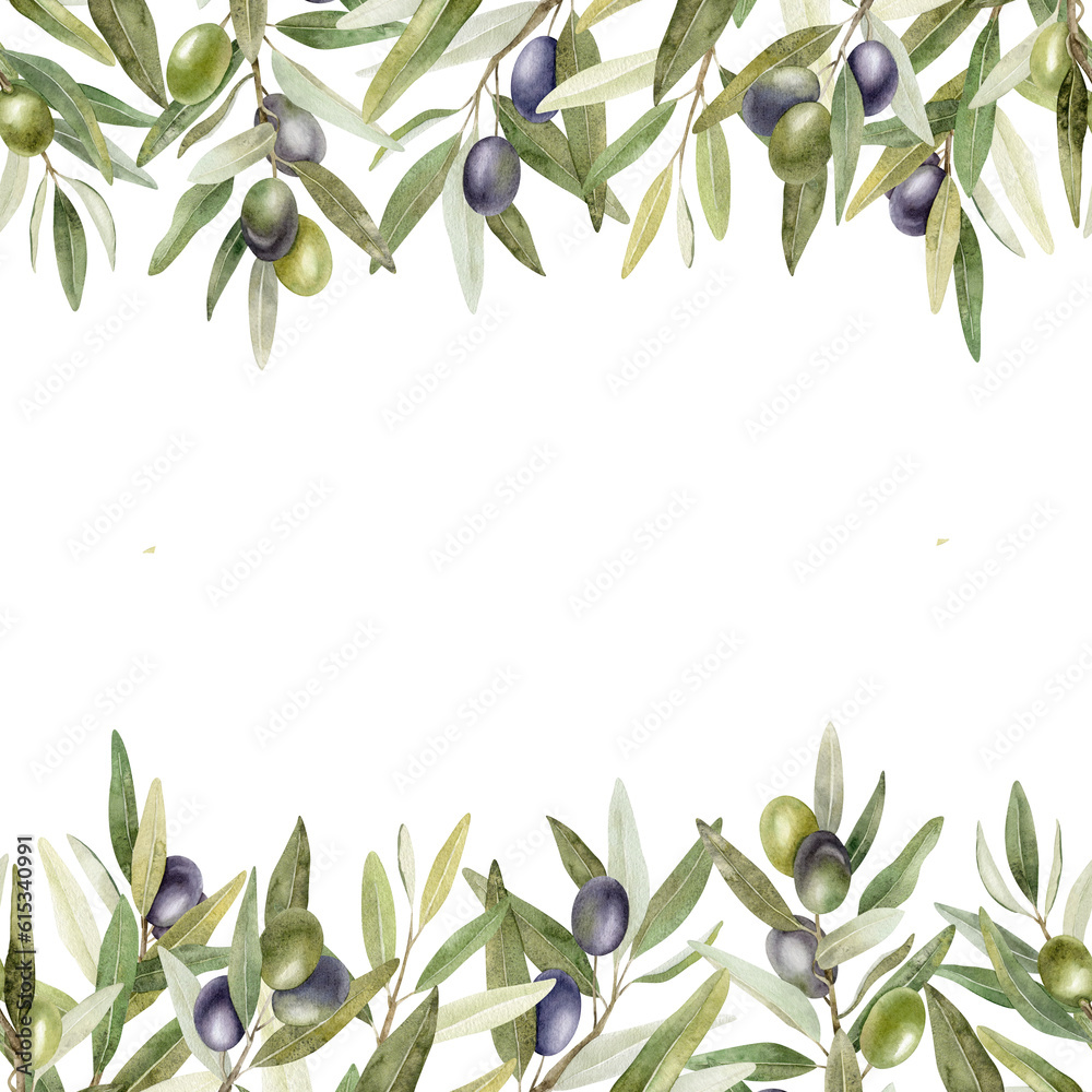 Olive branches, leaves and fruits. Seamless border of branches olive ...