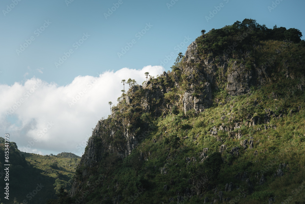 Trekking in Thailand's mountain 