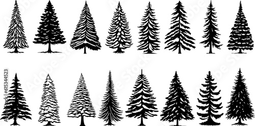 Silhouettes of fir trees of various shapes. Various types of cypress trees isolated background