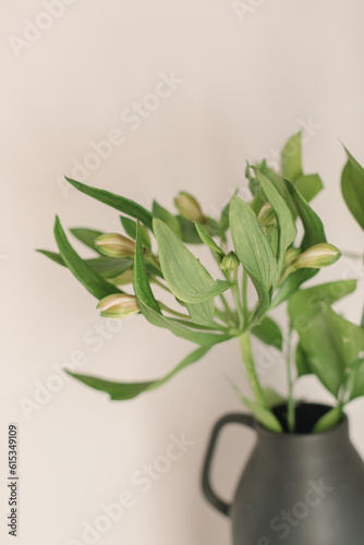 Close-up of alstroemeria flower in ceramic vase. Aesthetic minimal floral composition. Poster concept