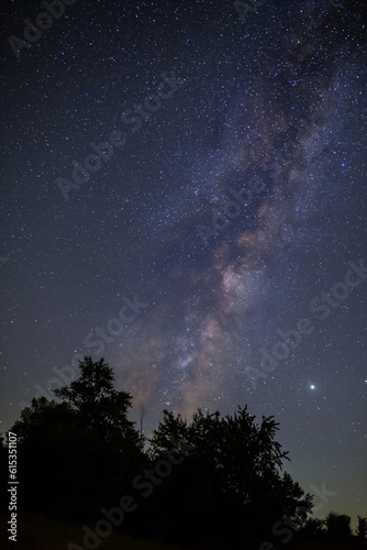 forest silhouette under starry sky with milky way, night outdoor natural landscape