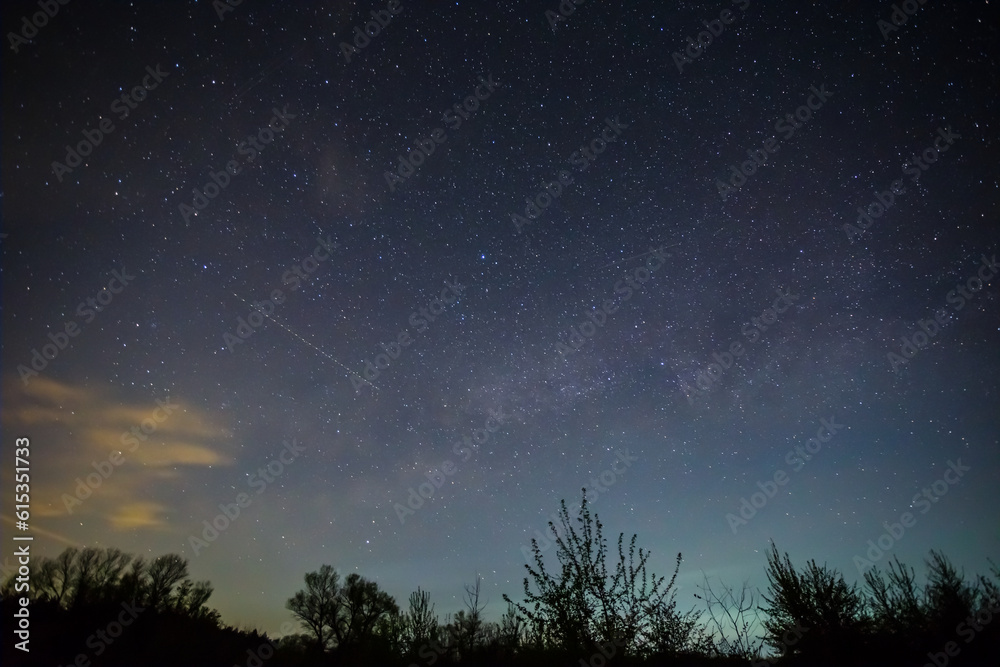 forest silhouette under starry sky with milky way, night outdoor natural landscape forest silhouette under starry sky with milky way, night outdoor natural landscape