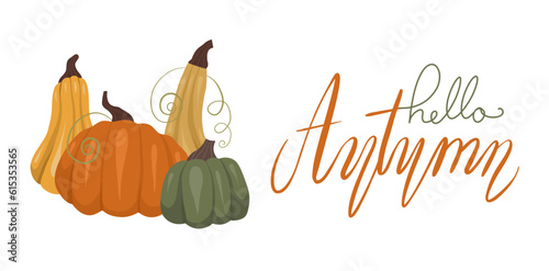 Horizontal vector card with pumpkins and lettering on white background. Quote hello autumn. Autumn banner