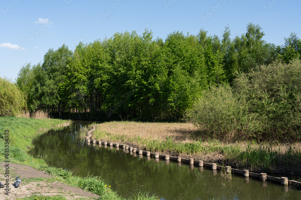 River and green forest in natural park. River and green forest in natural park.