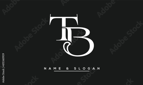 BT,  TB,  B,  T  Abstract  Letters Logo  Monogram