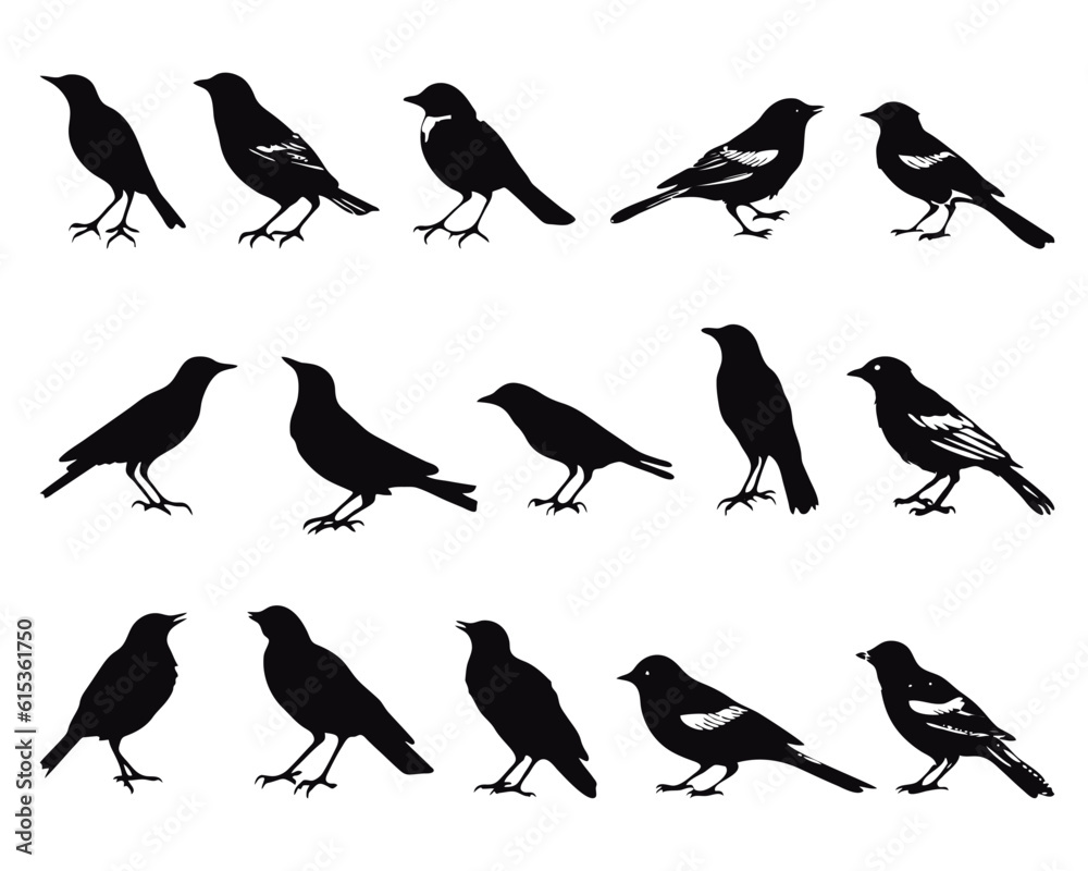 Fototapeta premium bird silhouettes artistic vector collection, isolated on white