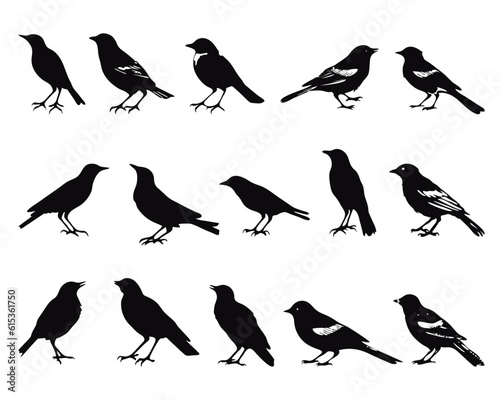 bird silhouettes artistic vector collection, isolated on white