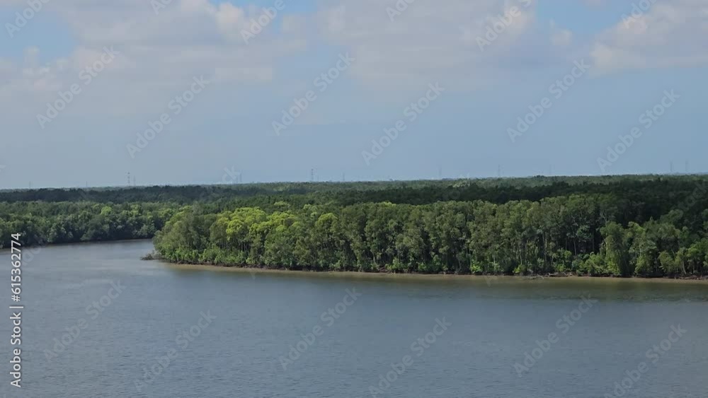 Aerial view panning of river and mangrove forest. River panorama with blue sky and white clouds. Beautiful lake landscape in Malaysia Aerial view panning of river and mangrove forest. River panorama with blue sky and white clouds. Beautiful lake landscape in Malaysia