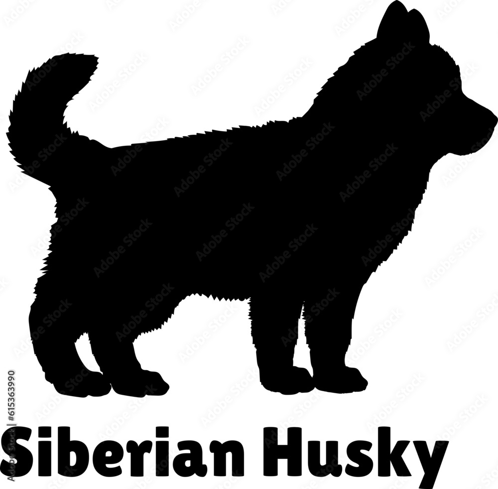 Siberian Husky. Dog puppies silhouette. Baby dog silhouette. Puppy Siberian Husky. Dog puppies silhouette. Baby dog silhouette. Puppy