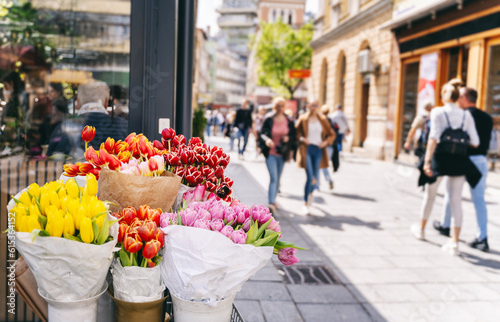 Sale of multi-colored flowers, bouquets of tulips on the street in a European city. Spring cityscape © olezzo