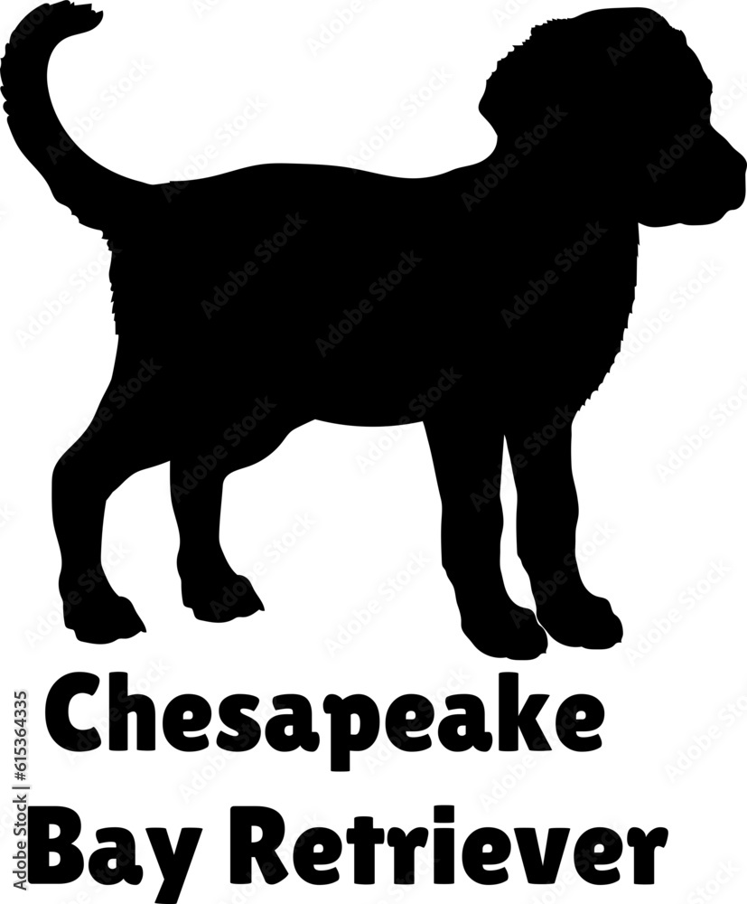 Chesapeake Bay Retriever Dog puppies silhouette. Baby dog silhouette. Puppy
