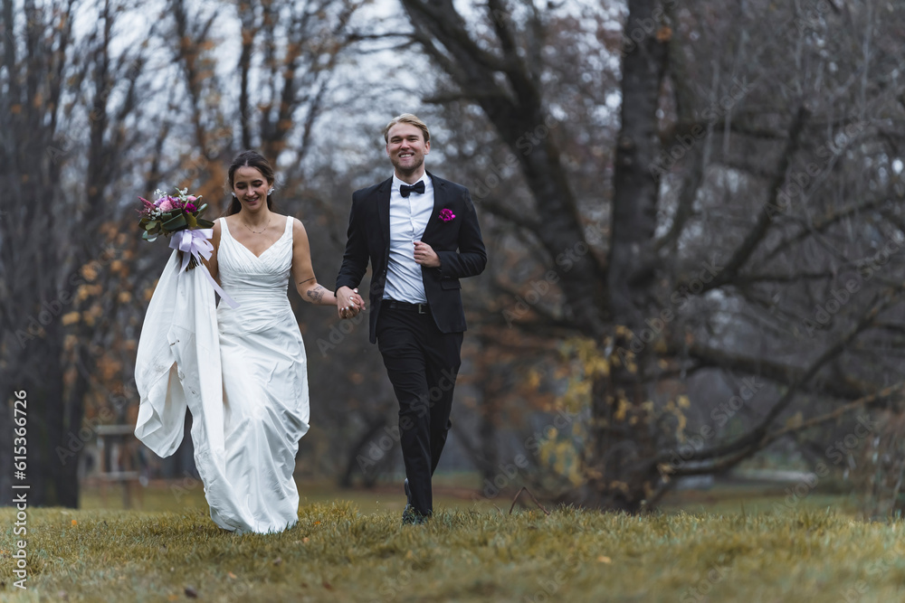 Bride and Groom autumn park. High quality photo Bride and Groom autumn park. High quality photo