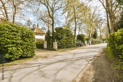 a street with trees and bushes on both sides  in the background is a white house surrounded by green foliage