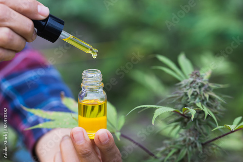 Fotografie CBD Hemp oil, Doctor holding a bottle of hemp oil, Medical marijuana products in
