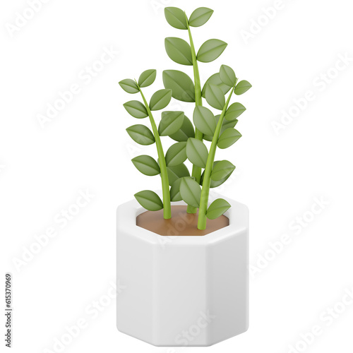 Zamioculcas Zamiifolia Houseplant Potted 3D Icon