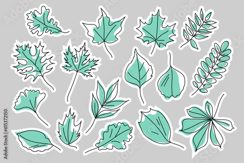 Stickers of leaves of different trees. Leaves of maple, oak, chestnut, acacia, ash, ginkgo, alder, poplar, beech, elm. Set of stickers, patches, pins. Doodle vector illustration isolated.