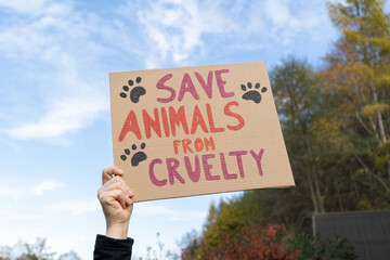 Hand holding placard sign with text Save animals from cruelty, during animal rights march. Protestor with cardboard banner at protest rally demonstration.