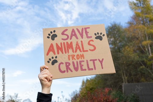 Fototapeta Naklejka Na Ścianę i Meble -  Hand holding placard sign with text Save animals from cruelty, during animal rights march. Protestor with cardboard banner at protest rally demonstration.
