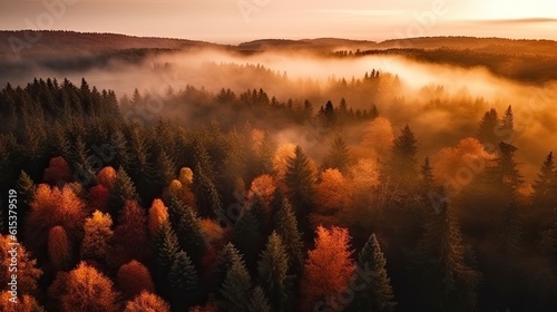 Autumn forest, drone shot. Aerial view of beautiful colorful autumn forest in low clouds at sunrise. Top view of orange and green trees in fog at dawn in fall. View from above of woods.  © Hugo