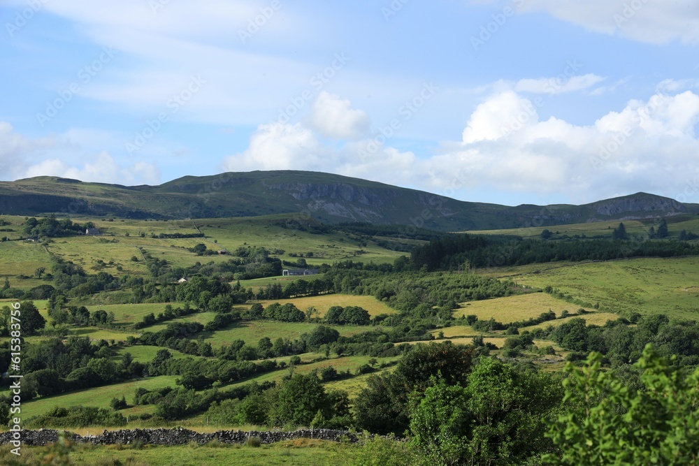 Rolling hills landscape featuring fields of farmland pastures bordered by hedges, trees and dry stone walls in rural County Sligo, Ireland 