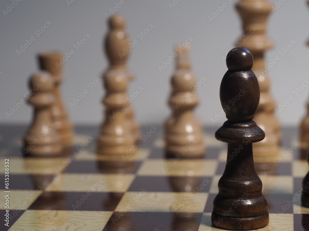 Pieces positioned on the chessboard Pieces positioned on the chessboard