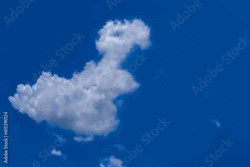 Animal cloud image  Fresh blue sky with floated white soft and fluffy clouds shown shaping like walking dinosaur  Tyrannosaurus Rex   Background for kid education or imagination learning for children.