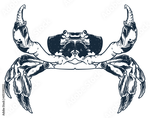 Seafood animal crab engraving drawing vector. Hand sketch vintage style. Food animal ocean sea isolated on white background.