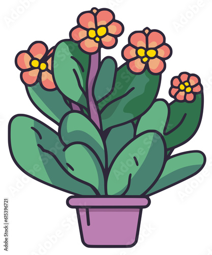 Kalanchoe plant vector illustration