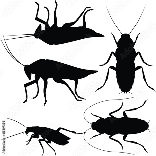 Cockroach silhouettes