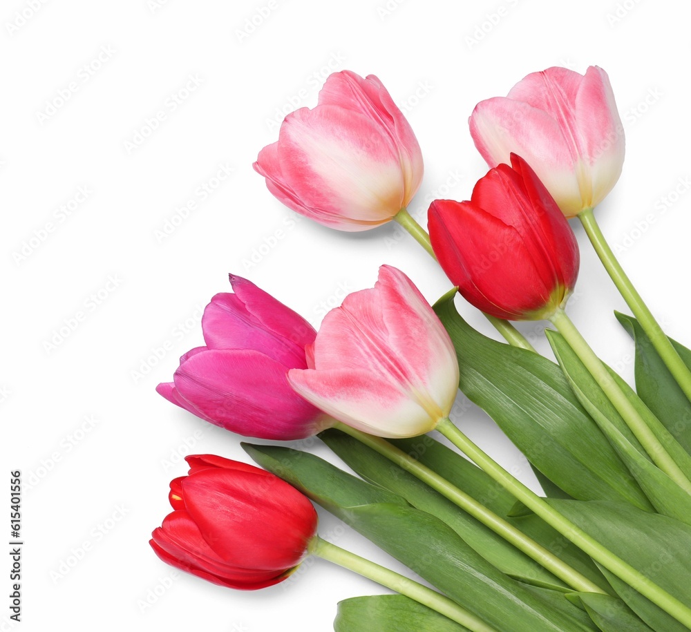 Beautiful colorful tulips on white background, top view Beautiful colorful tulips on white background, top view