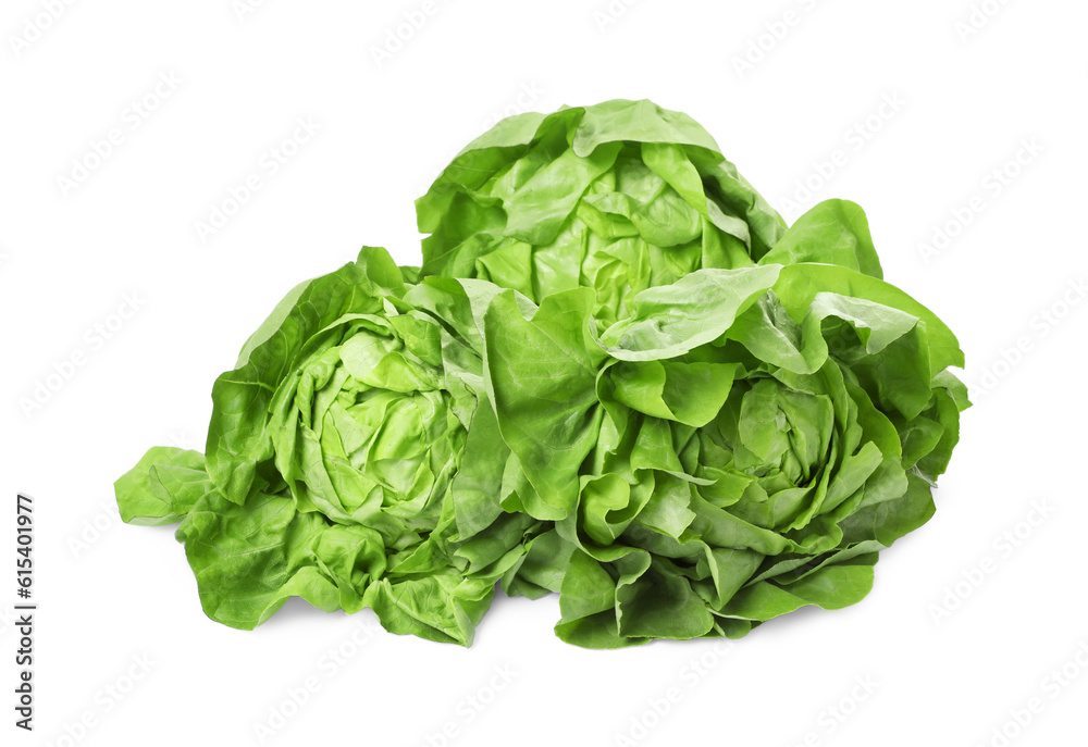 Fresh green butter lettuce heads isolated on white Fresh green butter lettuce heads isolated on white