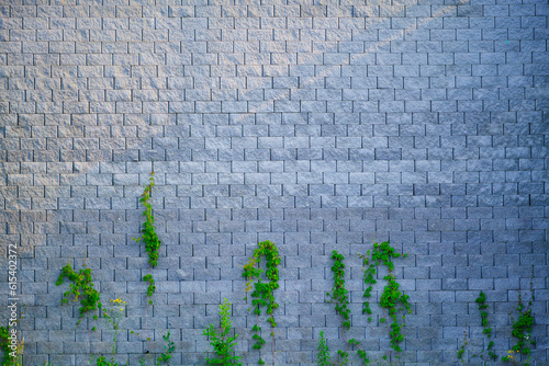 Mur przy ruchliwej ulicy w centrum Miasta © Lukasz