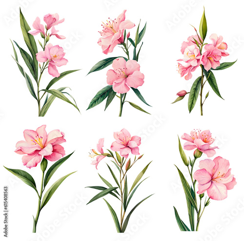 Watercolor oleander set. Generative Ai photo