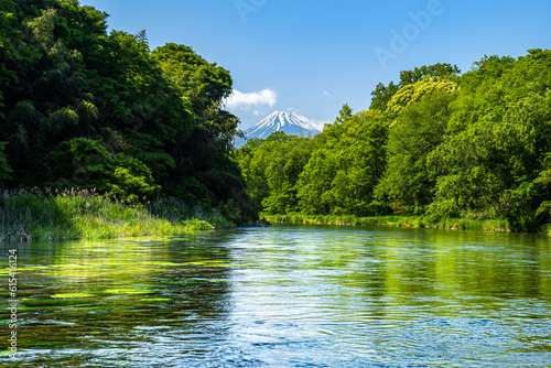 静岡県の駿東郡清水町を流れる清流で有名な柿田川と富士山