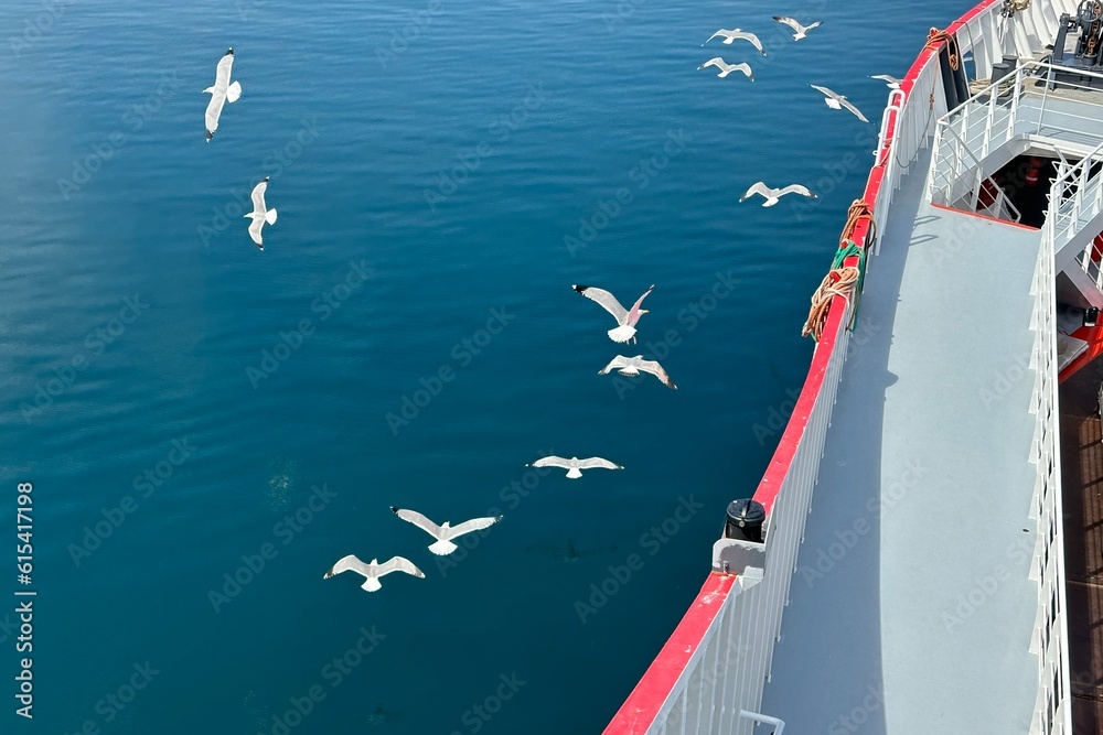 Seagulls flying alongside a ferry ride in Greece.